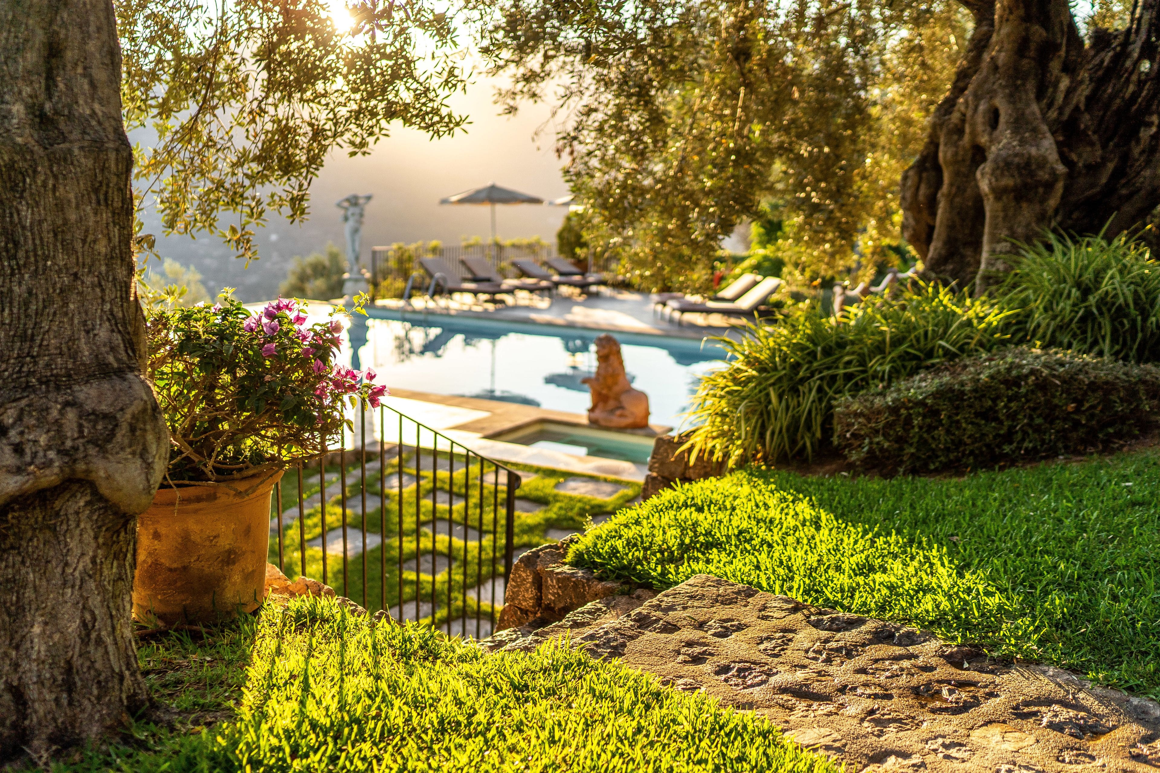Ca's Xorc Luxury Retreat — infinity pool overlooking the Sóller valley, Mallorca